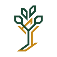 Chattanooga Tree Service